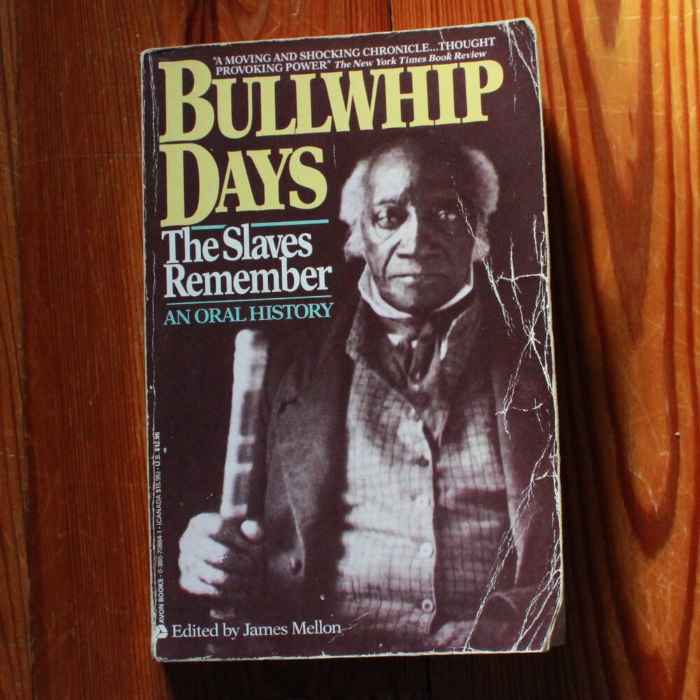 Vintage Avon Books 1990 "Bullwhip Days: The Slaves Remember" Paperback Book